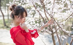 做完下面流出来白液体是什么